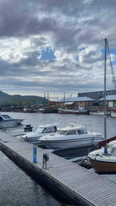 City Center Stylish Loft Trondheim Kültér fotó